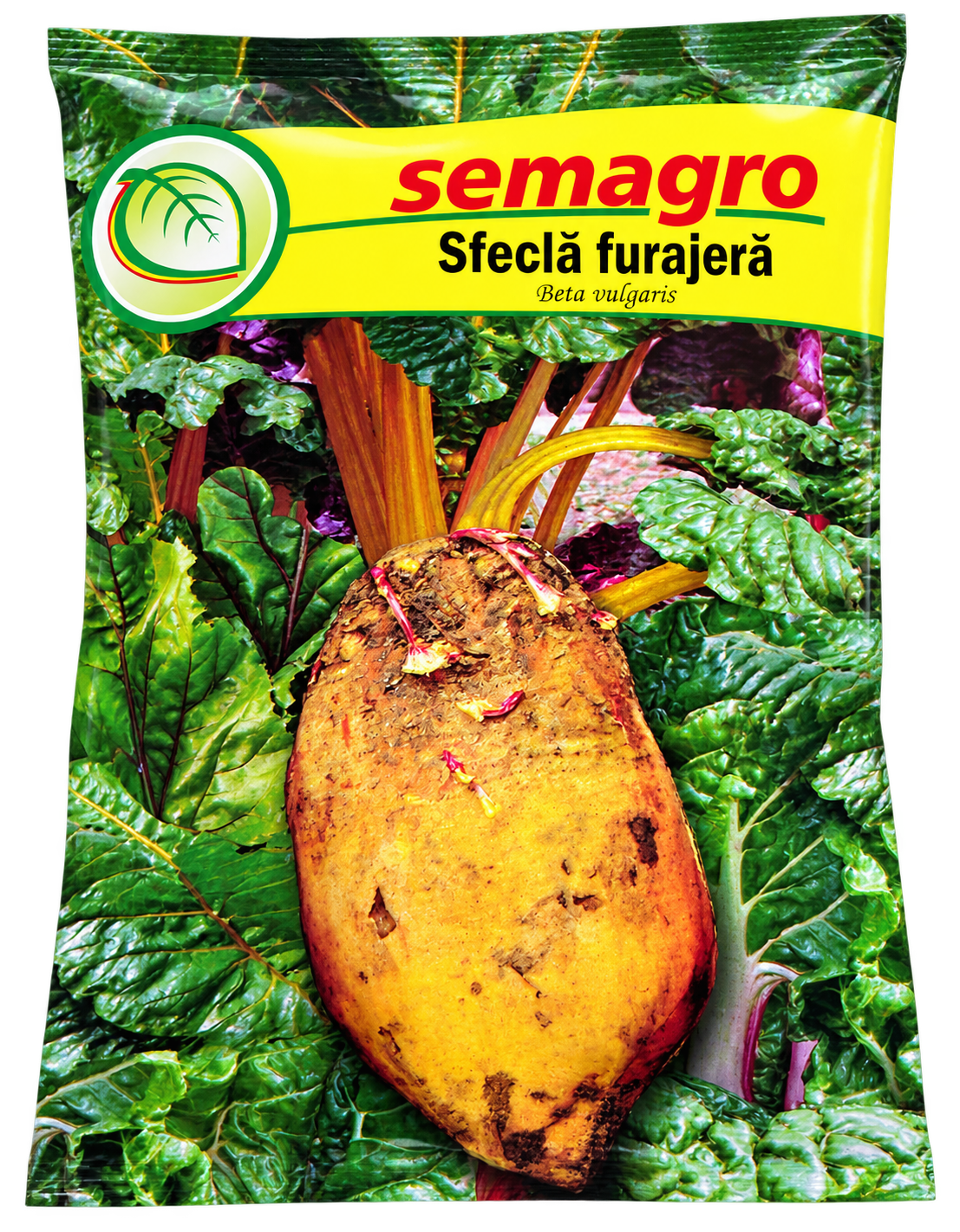 Semințe Sfeclă Furajeră Ursus Semagro – 40 g