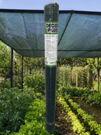 Plasă de umbrire verde 55% – 1,5 x 25 m, 60 g/mp, protecție UV