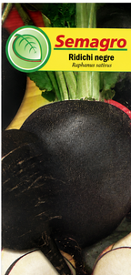 Semințe Ridichi Negre Black Round Semagro – 4 g