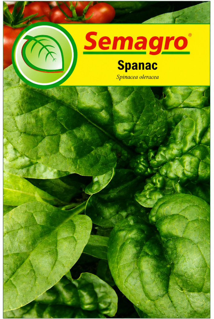 Semințe Spanac Matador Semagro – 10 g