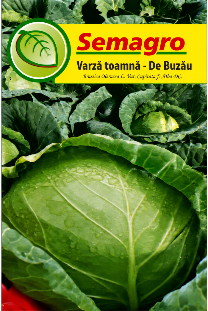 Semințe Varză de Toamnă De Buzău Semagro – 2 g