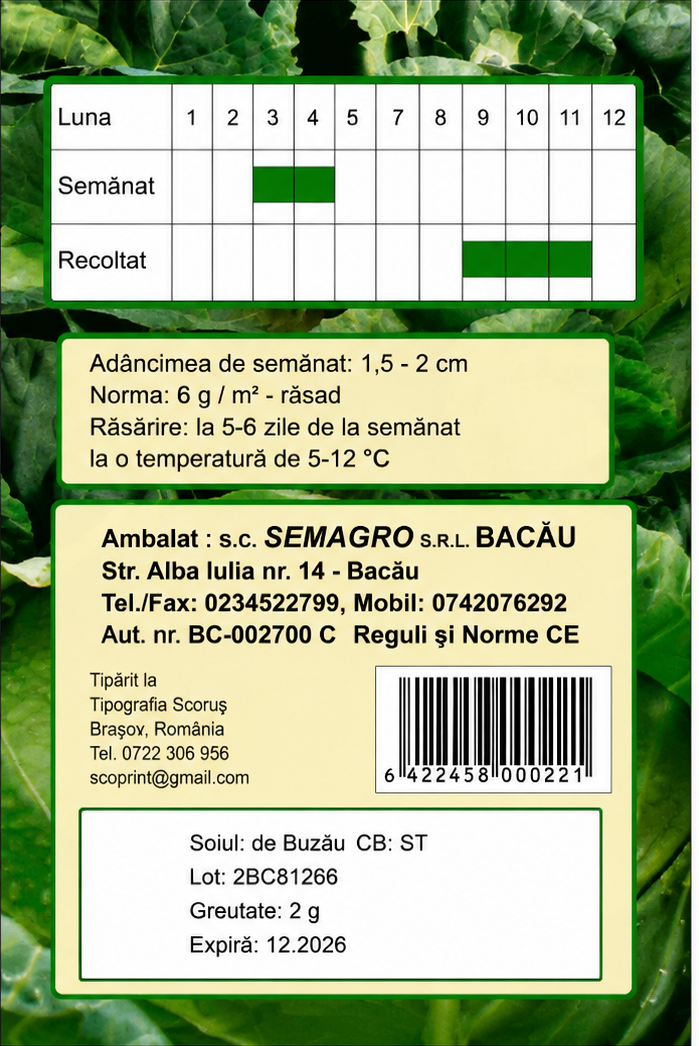 Semințe Varză de Toamnă De Buzău Semagro – 2 g